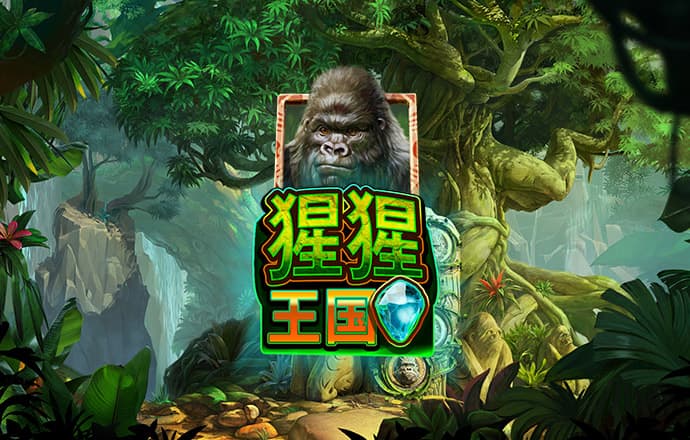 开元ky888vip棋盘